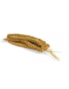 Millet Grappe Jaune 1kg