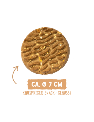 Bosch Biscuit Sammy's - Différents Choix