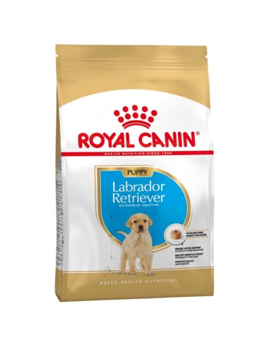 Labrador Puppy - 12Kg* - Royal Canin -...