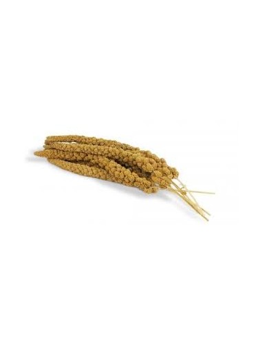 Millet Grappe Jaune 1kg