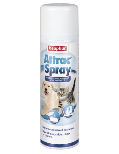 Spray Attractif 250Ml 