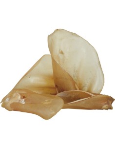 Oreille de Boeuf