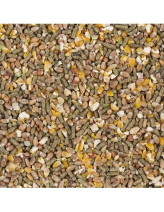 Mélange Poules Pondeuse Concassé 20Kg