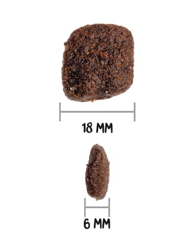 Ownat Chien GF HYPO Ibérian Porc 12kg