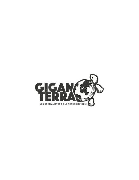 Giganterra